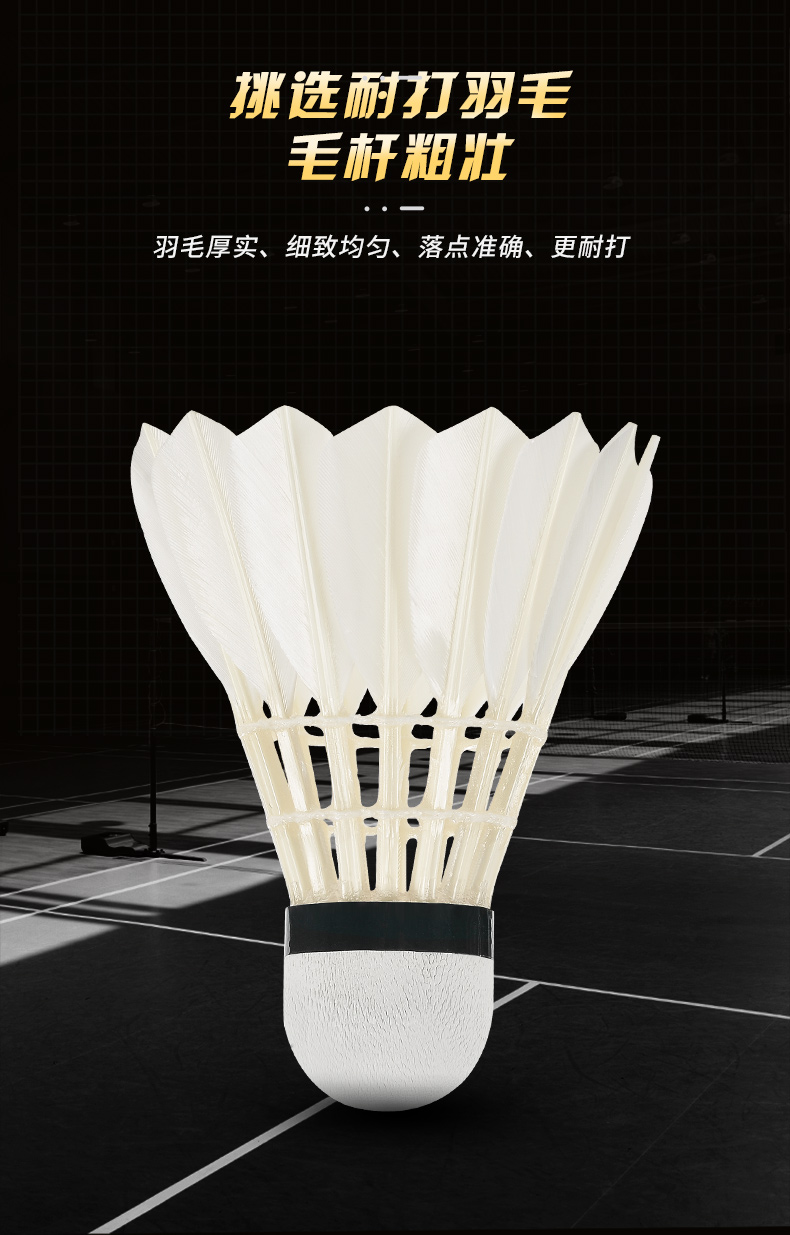 New 12PCS Professional Badmint - Badminton Event のレビューと価格