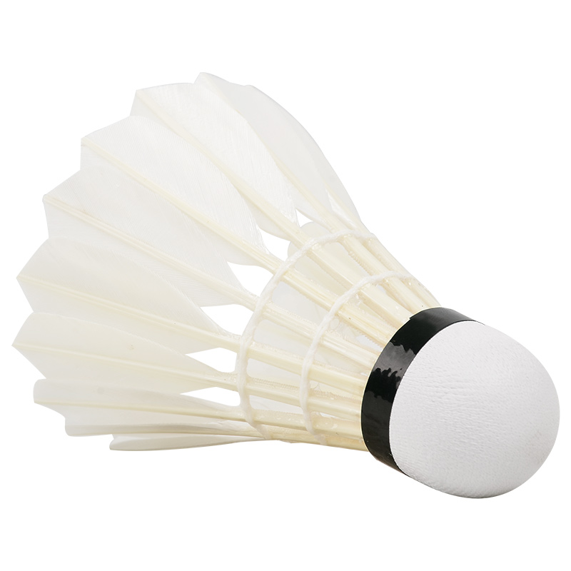 New 12PCS Professional Badmint - Badminton Event のレビューと価格