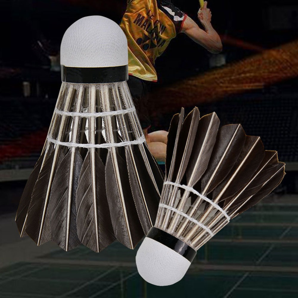 3/6/12Pcs Household Sport Trai - Badminton Event のレビューと価格