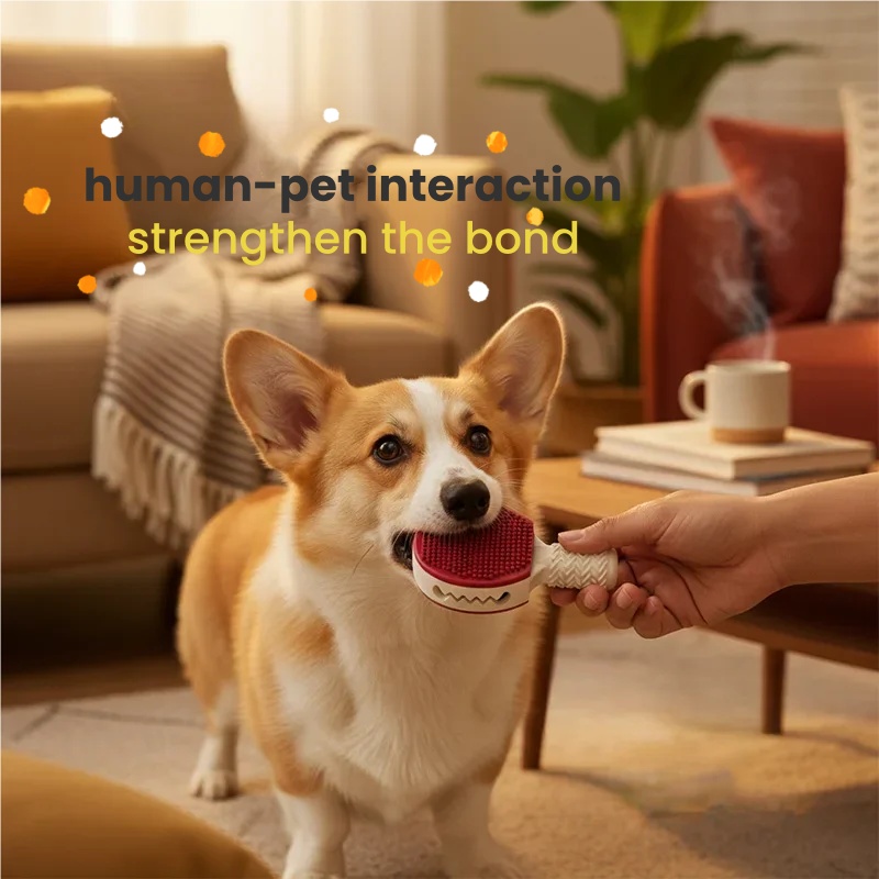 Dog Toy Badminton Ball, Unbrea - Badminton Event のレビューと価格